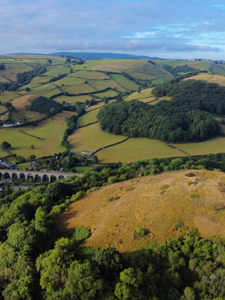 Aerial view of a railway viaduct crossing over a town in a green valley.