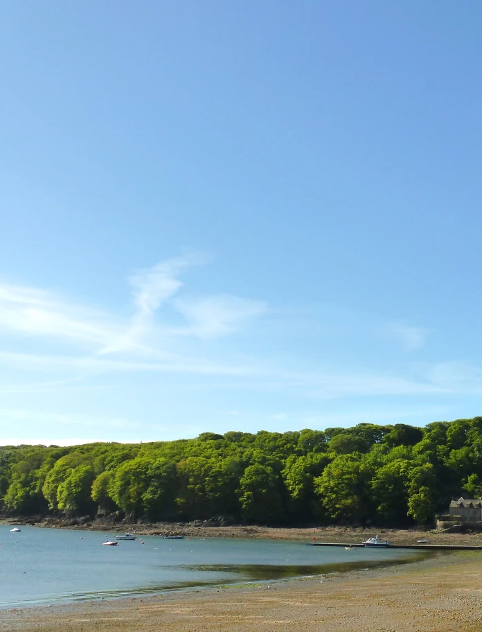 sandy beach on a sunny day.
