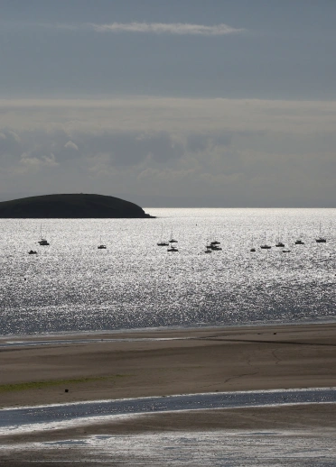 Sea at dusk, with small island and birds.