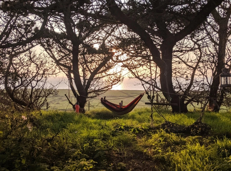 A person sitting in a hammock in the middle of trees with the sun setting