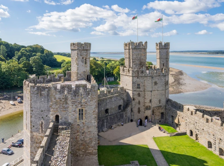 A castle with the sea and trees in the background.