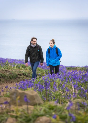 Two people walking amongst bluebells.