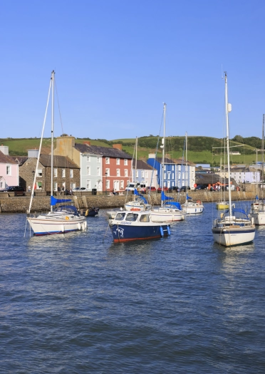 Moored sail boats in a harbour.