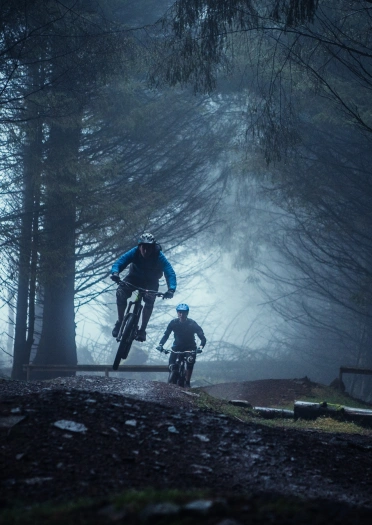 Two mountain bikers on a trail through a dark forest.