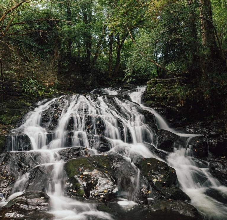 waterfall in full flow, with surrounding trees.
