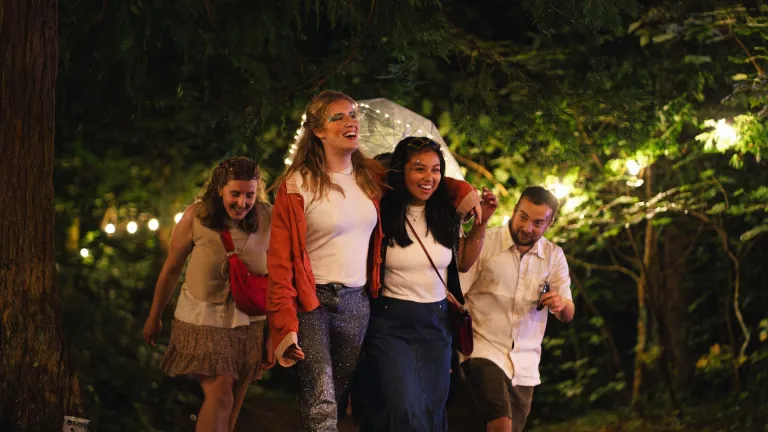 group of people walking at festival through woods at night.