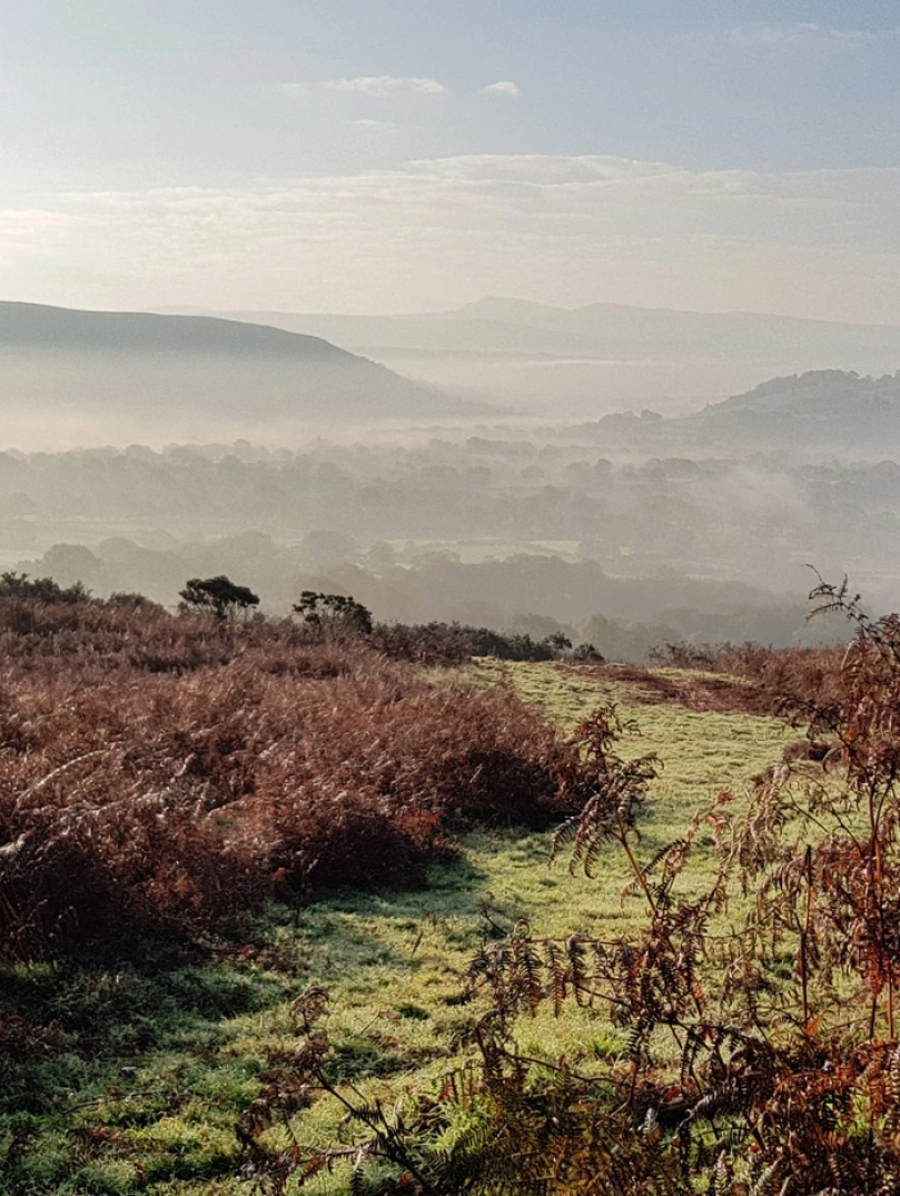 External shot of misty mountains in the distance