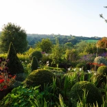 Garden with a variety of plants including clipped evergreens.