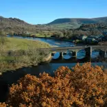 view of bridge and river, with autumn colours.