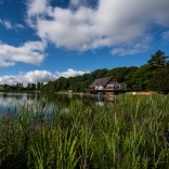 A cafe by a large lake surrounded by trees.