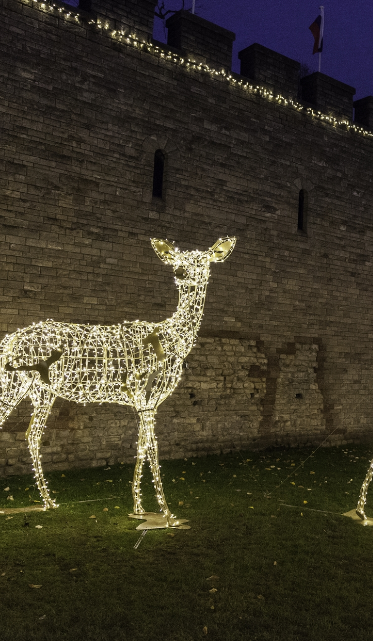 Large illuminated deer Christmas decorations outside Cardiff Castle walls.
